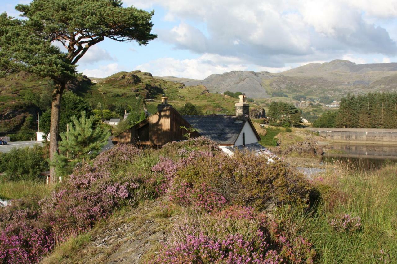 Bryn Elltyd Eco House Guest House Blaenau Ffestiniog Exterior photo
